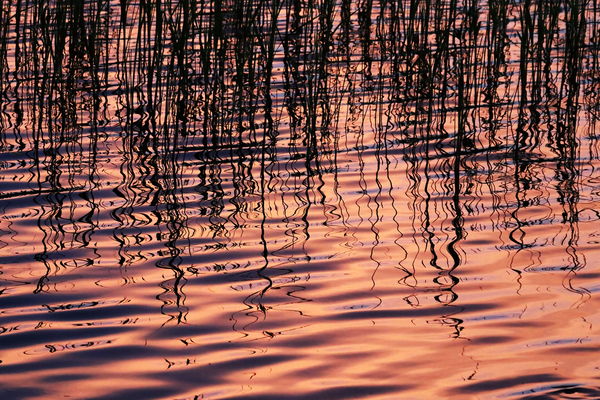Sunset Chaos Print