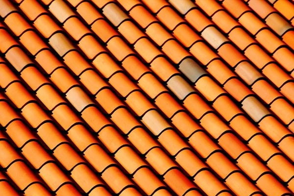 Terracotta Abstract Print