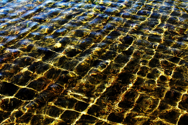 Underwater Grid    Imprimer