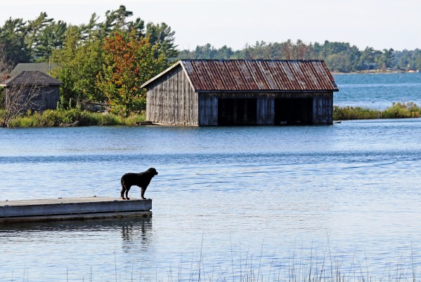 Waiting by Deb Oppermann