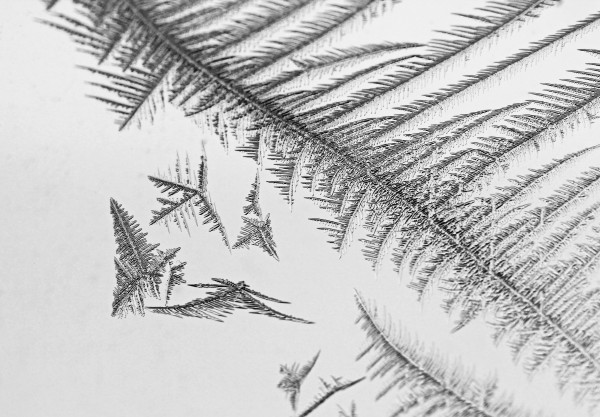 Window Frost Print