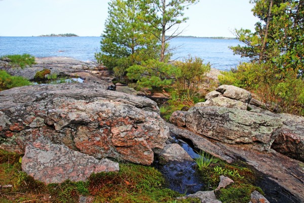 Wreck Island Landscape by Deb Oppermann