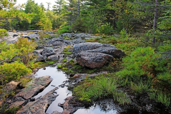 Wreck Island Landscape IX by Deb Oppermann