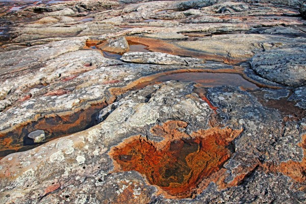 Wreck Island Rock Abstract by Deb Oppermann