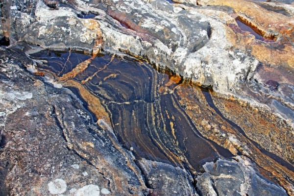 Wreck Island Rock Abstract I by Deb Oppermann