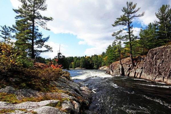 Swirling River Print