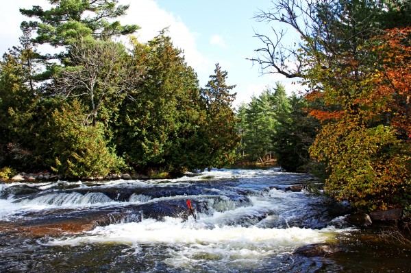 Five Finger Rapids Print