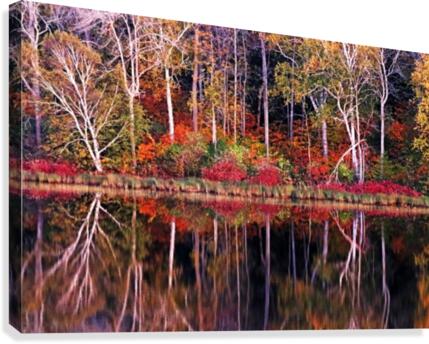 The Magical Season  Canvas Print