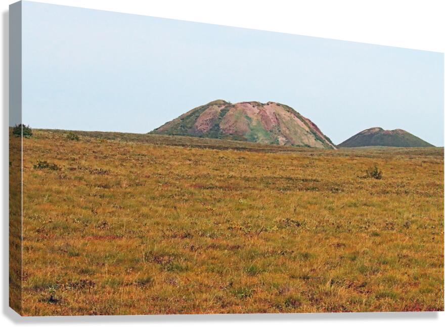 Pingo Canadian Landmark Canvas Print