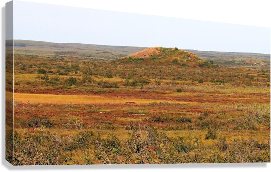 Pingo And Tundra Canvas Print