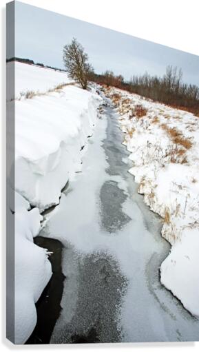 Rural Winter Creek Canvas Print