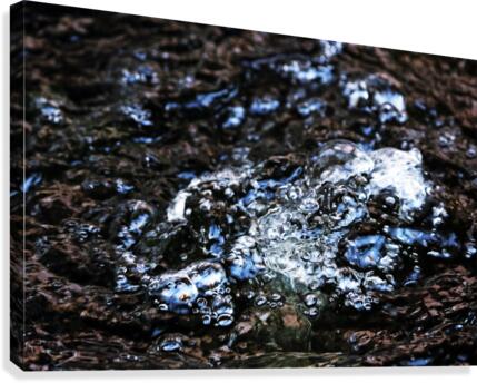 Bubbles In Pond Canvas Print