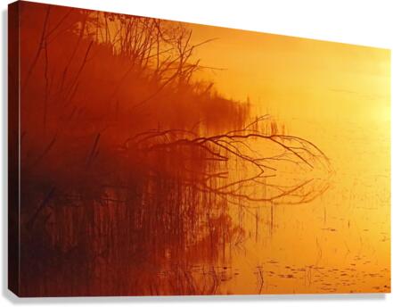 Foggy Glowing Sunrise Canvas Print