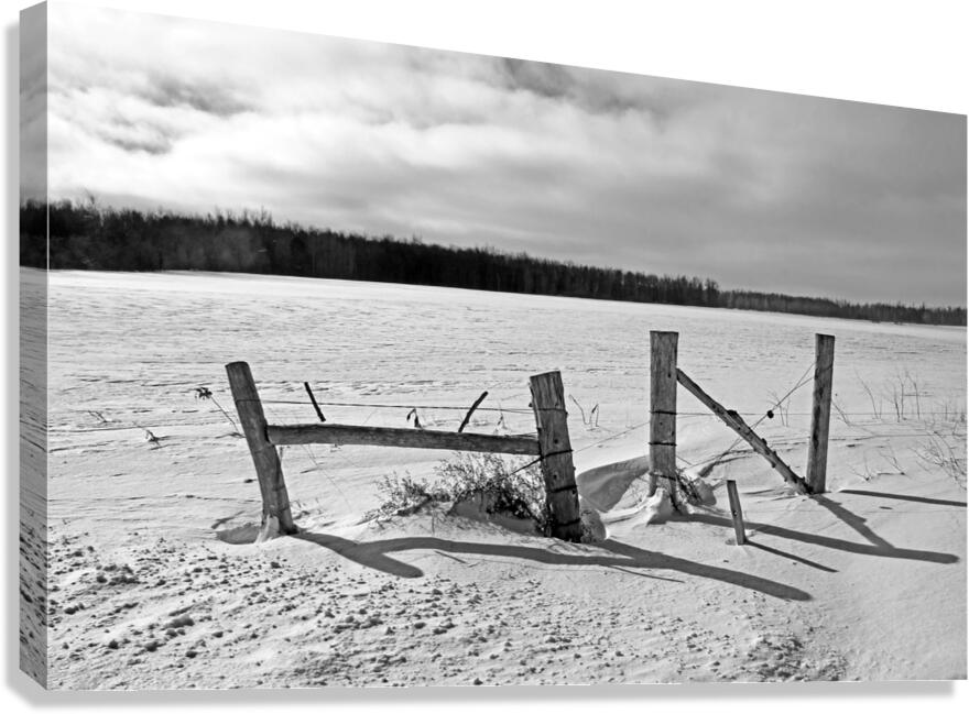 Wood Fence Posts In Winter Black And White Canvas Print