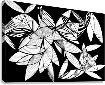 24 Pata Canvas Print