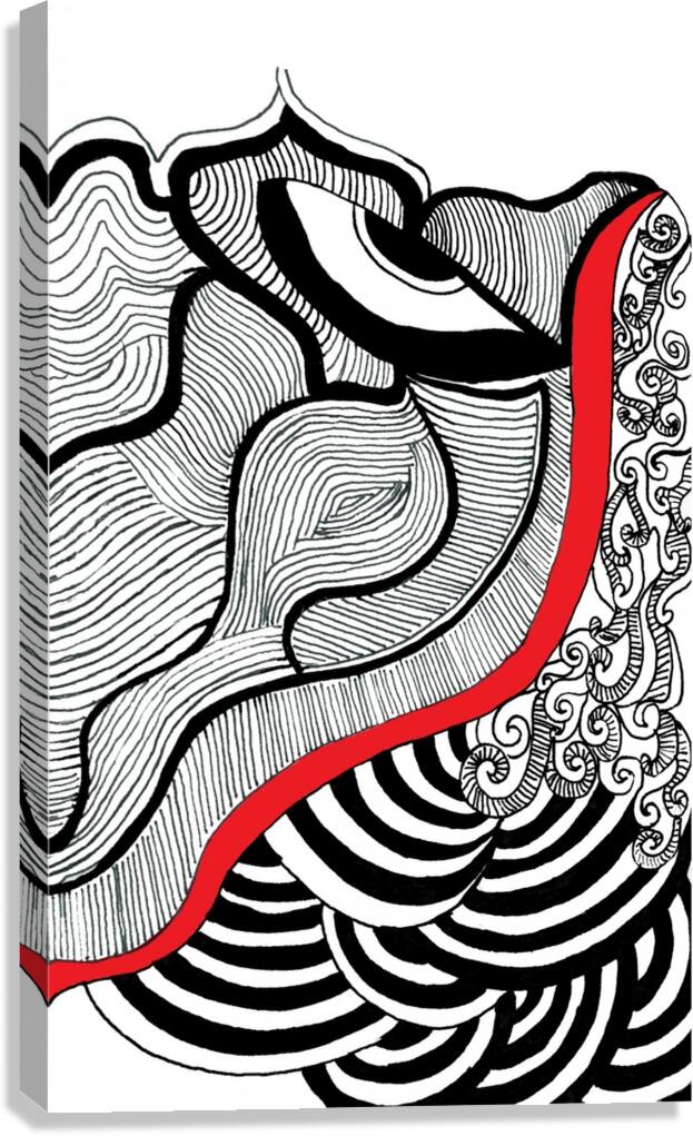 1 Stare Canvas Print