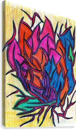 12 Aag Canvas Print
