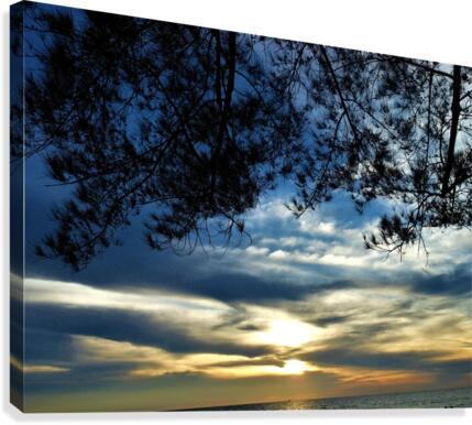 Aasmani Canvas Print