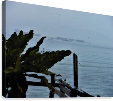 Ame Canvas Print