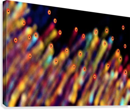 40 Pollen Canvas Print