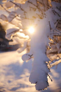 SnowfallMorningAfterSunrise2