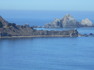 DSCN0596