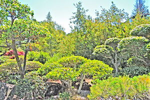 DSCN5062