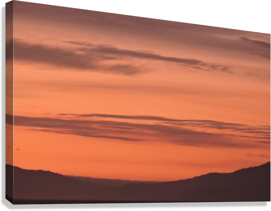 DSCN2405 Canvas Print