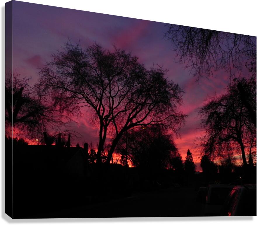 DSCN0470 Canvas Print