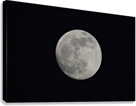 Full Moon Canvas Print