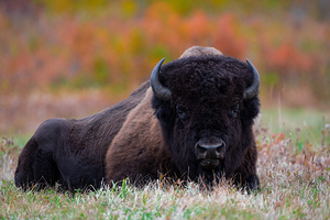 Take A Load Off Fanny