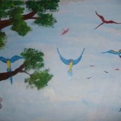 Macaw family