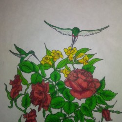 Hummingbird Rose