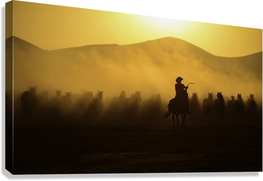 Chasing the Jades Canvas Print