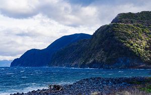 Sunlight Breaking Through Storm Clouds Illuminating a Forested 