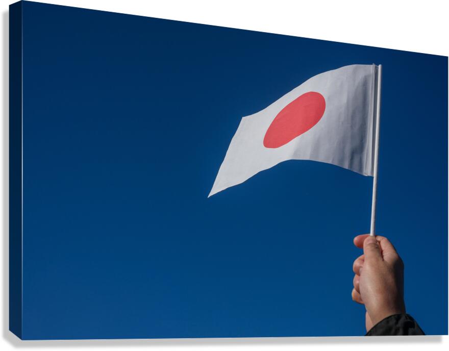 Japanese National Flag Canvas Print