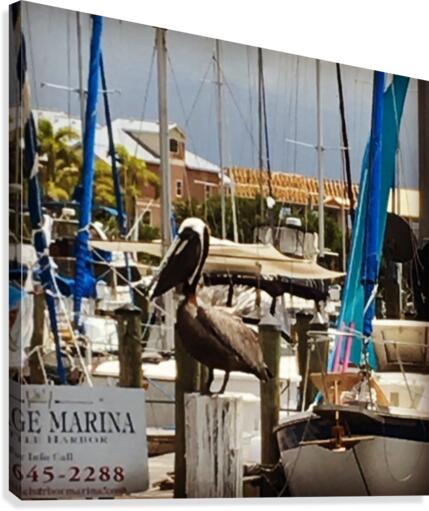 Guarding the Boats Canvas Print