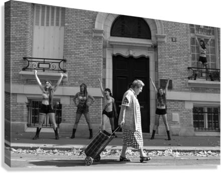 femen Canvas Print