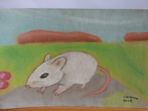 White mouse
