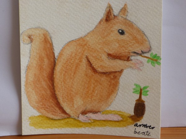 Squirrel   Print