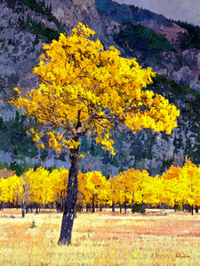 Autumn Splendor II