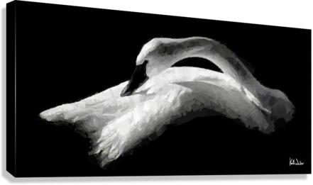 Avian Grace Canvas Print