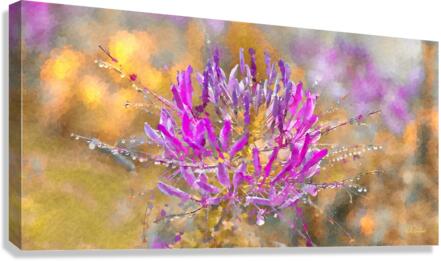 Exuberance II Canvas Print