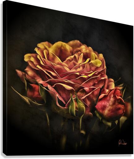 Floral Square V Canvas Print