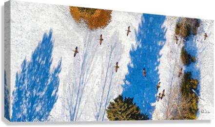Formation Flying Canvas Print