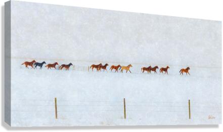 Snowy Dozen Canvas Print
