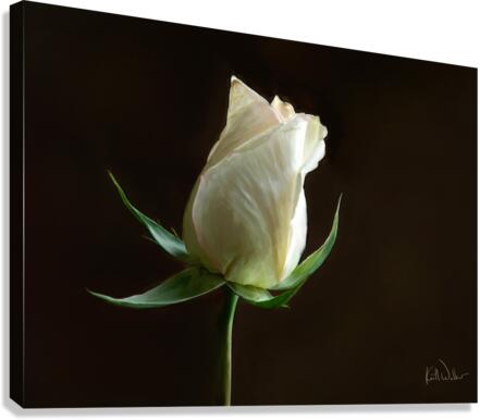 Simplicity in White  Canvas Print