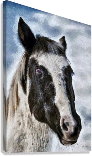 The Wild One Canvas Print