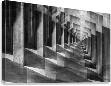Labyrinth I Canvas Print