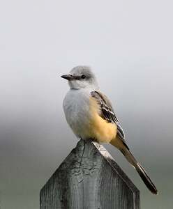 255539564 192600196382315 5304855430947156247 n.j